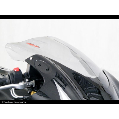 Suzuki GSX 1300R Hayabusa 08-15 Plexi Standard