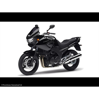 Yamaha TDM 900 Plexi Standard