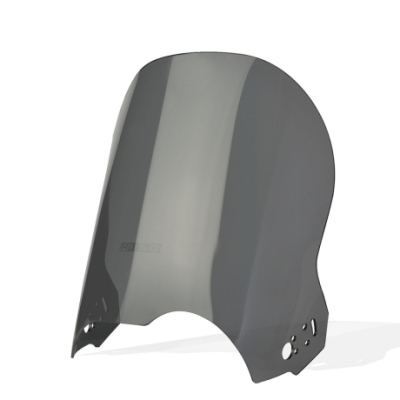 BMW R 1150 GS 1999-2004 - Plexi standard