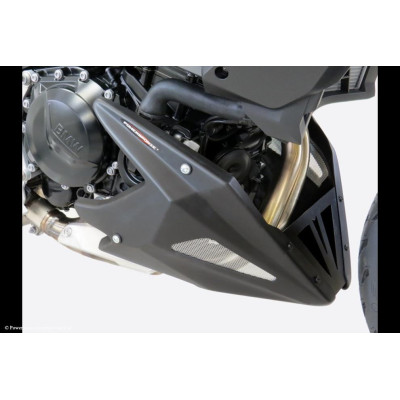 BMW F900R 20-25, F900XR 20-25 Klín pod motor - 4 barvy