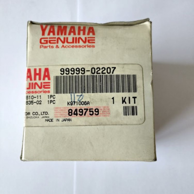 Sada pístů (0,25 mm O/s, 3 cl) pro TDR240