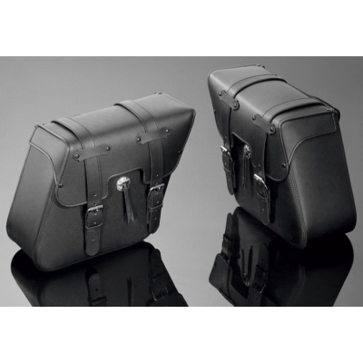 Motocyklové brašny Highway Hawk COLOREDO, kůže (2ks)