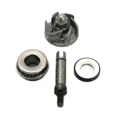 Opravná sada vodního čerpadla APRILIA LEONARDO 250 4T