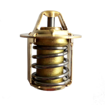 Termostat YAMAHA AM6