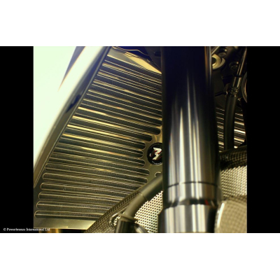 Yamaha YZF1000R1 09-14 Kryt chladiče