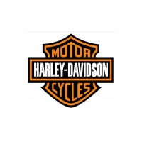Harley-Davidson zadní nosiče na moto kufry