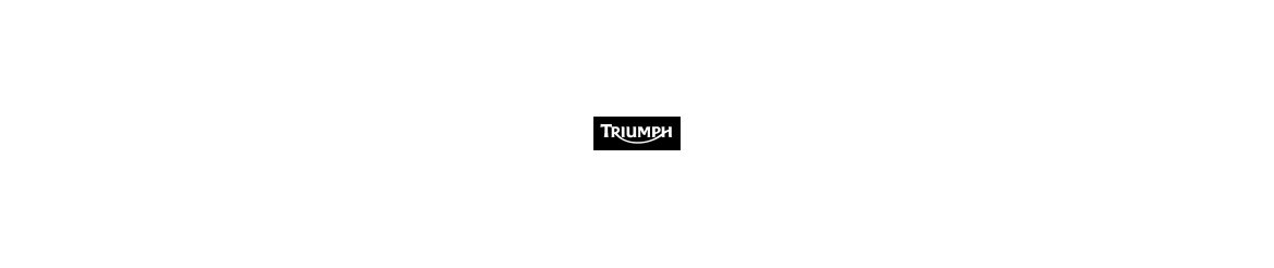 Triumph podpěry pod moto brašny
