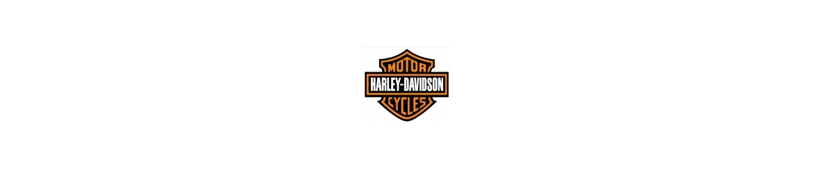 Plexiskla na choppery Harley-Davidson Softail,Sportster, Dyna, Touring